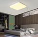 Стельовий квадратний LED світильник W 8342 V2491 фото 1